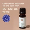 image:imagePlant Therapy Roman Chamomile Essential Oil 10 mL 13 oz033 Fl Oz Pack of 1