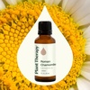 image:imagePlant Therapy Roman Chamomile Essential Oil 10 mL 13 oz1 Fl Oz Pack of 1