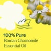 image:imagePlant Therapy Roman Chamomile Essential Oil 10 mL 13 oz1 Fl Oz Pack of 1