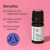 image:imagePlant Therapy Rose Absolute Essential Oil 5 mL 16 oz016 Fl Oz Pack of 1