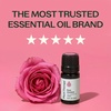 image:imagePlant Therapy Rose Absolute Essential Oil 5 mL 16 oz016 Fl Oz Pack of 1