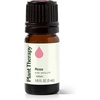 image:imagePlant Therapy Rose Absolute Essential Oil 5 mL 16 oz016 Fl Oz Pack of 1