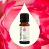 image:imagePlant Therapy Rose Absolute Essential Oil 5 mL 16 oz033 Fl Oz Pack of 1