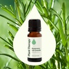 image:imagePlant Therapy Rosemary Essential Oil 100 mL 33 oz 100 Pure Undiluted Natural Aromatherapy for Scalp and Hair Health033 Fl Oz Pack of 1