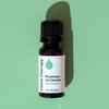 image:imagePlant Therapy Rosemary Essential Oil 100 mL 33 oz 100 Pure Undiluted Natural Aromatherapy for Scalp and Hair Health033 Fl Oz Pack of 1