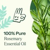 image:imagePlant Therapy Rosemary Essential Oil 100 mL 33 oz 100 Pure Undiluted Natural Aromatherapy for Scalp and Hair Health033 Fl Oz Pack of 1