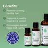 image:imagePlant Therapy Rosemary Essential Oil 100 mL 33 oz 100 Pure Undiluted Natural Aromatherapy for Scalp and Hair Health1 Fl Oz Pack of 1