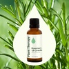 image:imagePlant Therapy Rosemary Essential Oil 100 mL 33 oz 100 Pure Undiluted Natural Aromatherapy for Scalp and Hair Health1 Fl Oz Pack of 1