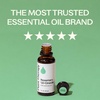 image:imagePlant Therapy Rosemary Essential Oil 100 mL 33 oz 100 Pure Undiluted Natural Aromatherapy for Scalp and Hair Health1 Fl Oz Pack of 1