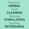 image:imagePlant Therapy Rosemary Essential Oil 100 mL 33 oz 100 Pure Undiluted Natural Aromatherapy for Scalp and Hair Health33 Fl Oz Pack of 1