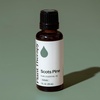 image:imagePlant Therapy Scots Pine Essential Oil 30 mL 1 oz 100 Pure Undiluted1 Fl Oz Pack of 1