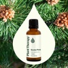 image:imagePlant Therapy Scots Pine Essential Oil 30 mL 1 oz 100 Pure Undiluted1 Fl Oz Pack of 1