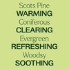 image:imagePlant Therapy Scots Pine Essential Oil 30 mL 1 oz 100 Pure Undiluted1 Fl Oz Pack of 2