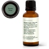 image:imagePlant Therapy Scots Pine Essential Oil 30 mL 1 oz 100 Pure Undiluted1 Fl Oz Pack of 2