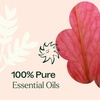 image:imagePlant Therapy Soft Skin Essential Oil Blend 10 mL 13 ozFloral