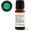 image:imagePlant Therapy Spearmint Essential Oil 100 mL 33 oz 100 Pure Undiluted Digestive Health Fresh Scent Tension Relief033 Fl Oz Pack of 1