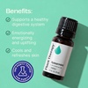 image:imagePlant Therapy Spearmint Essential Oil 100 mL 33 oz 100 Pure Undiluted Digestive Health Fresh Scent Tension Relief033 Fl Oz Pack of 1