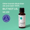 image:imagePlant Therapy Spearmint Essential Oil 100 mL 33 oz 100 Pure Undiluted Digestive Health Fresh Scent Tension Relief1 Fl Oz Pack of 1
