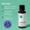 image:imagePlant Therapy Spearmint Essential Oil 100 mL 33 oz 100 Pure Undiluted Digestive Health Fresh Scent Tension Relief1 Fl Oz Pack of 1