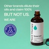 image:imagePlant Therapy Spearmint Essential Oil 100 mL 33 oz 100 Pure Undiluted Digestive Health Fresh Scent Tension Relief33 Fl Oz Pack of 1