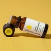 image:imagePlant Therapy Steam Distilled Lemon Essential Oil 30 mL 1 oz 100 Pure Undiluted Aromatherapy Immune Support Fresh Clean Scent033 Fl Oz Pack of 1
