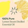 image:imagePlant Therapy Steam Distilled Lemon Essential Oil 30 mL 1 oz 100 Pure Undiluted Aromatherapy Immune Support Fresh Clean Scent1 Fl Oz Pack of 1