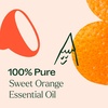 image:imagePlant Therapy Sweet Orange Essential Oil 30 mL Pure amp Undiluted OilOrange