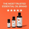 image:imagePlant Therapy Sweet Orange Essential Oil 30 mL Pure amp Undiluted OilOrange