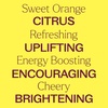 image:imagePlant Therapy Sweet Orange Essential Oil 30 mL Pure amp Undiluted OilOrange