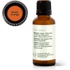image:imagePlant Therapy Sweet Orange Essential Oil 30 mL Pure amp Undiluted OilOrange