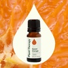 image:imagePlant Therapy Sweet Orange Essential Oil 30 mL Pure amp Undiluted OilOrange
