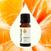 image:imagePlant Therapy Tangerine Essential Oil 30 mL 1 oz 100 Pure Undiluted Aromatherapy Mood Boosting Immune Support034 Fl Oz Pack of 1