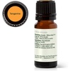 image:imagePlant Therapy Tangerine Essential Oil 30 mL 1 oz 100 Pure Undiluted Aromatherapy Mood Boosting Immune Support034 Fl Oz Pack of 1