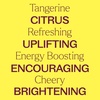 image:imagePlant Therapy Tangerine Essential Oil 30 mL 1 oz 100 Pure Undiluted Aromatherapy Mood Boosting Immune Support034 Fl Oz Pack of 1