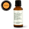 image:imagePlant Therapy Tangerine Essential Oil 30 mL 1 oz 100 Pure Undiluted Aromatherapy Mood Boosting Immune Support1 Fl Oz Pack of 1