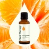 image:imagePlant Therapy Tangerine Essential Oil 30 mL 1 oz 100 Pure Undiluted Aromatherapy Mood Boosting Immune Support1 Fl Oz Pack of 1