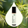 image:imagePlant Therapy Tea Tree Essential Oil PreDiluted RollOn 10 mL 13 oz13 Fl Oz Pack of 2