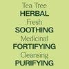 image:imagePlant Therapy Tea Tree Essential Oil PreDiluted RollOn 10 mL 13 oz13 Fl Oz Pack of 2