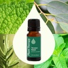 image:imagePlant Therapy Tension Relief Essential Oil Blend 30 mL 1 oz 100 Pure Undiluted Tension Headache Relief033 Fl Oz Pack of 1