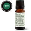 image:imagePlant Therapy Tension Relief Essential Oil Blend 30 mL 1 oz 100 Pure Undiluted Tension Headache Relief033 Fl Oz Pack of 1