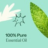 image:imagePlant Therapy Tension Relief Essential Oil Blend 30 mL 1 oz 100 Pure Undiluted Tension Headache Relief033 Fl Oz Pack of 1