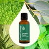image:imagePlant Therapy Tension Relief Essential Oil Blend 30 mL 1 oz 100 Pure Undiluted Tension Headache Relief1 Fl Oz Pack of 1