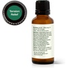 image:imagePlant Therapy Tension Relief Essential Oil Blend 30 mL 1 oz 100 Pure Undiluted Tension Headache Relief1 Fl Oz Pack of 1