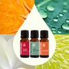 image:imagePlant Therapy Tropical Scents Home Set of 3 Essential Oil Blends Including Natural Scents to Scent Your Home with Honeybell Lime in The Coconut amp Tropical Passion 10 mL 13 oz EachTropical