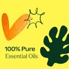image:imagePlant Therapy Tropical Scents Home Set of 3 Essential Oil Blends Including Natural Scents to Scent Your Home with Honeybell Lime in The Coconut amp Tropical Passion 10 mL 13 oz EachTropical
