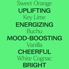 image:imagePlant Therapy Tropical Scents Home Set of 3 Essential Oil Blends Including Natural Scents to Scent Your Home with Honeybell Lime in The Coconut amp Tropical Passion 10 mL 13 oz EachTropical