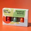 image:imagePlant Therapy Tropical Scents Home Set of 3 Essential Oil Blends Including Natural Scents to Scent Your Home with Honeybell Lime in The Coconut amp Tropical Passion 10 mL 13 oz EachTropical