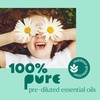 image:imagePlant Therapy USDA Certified Organic Turmeric CO2 Essential Oil 30 mL 1 oz 100 Pure Undiluted Natural AromatherapyItch Away