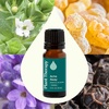 image:imagePlant Therapy Unwind Essential Oil Blend 10 mL 13 oz 100 Pure Undiluted Natural AromatherapyAche Away