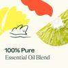 image:imagePlant Therapy Unwind Essential Oil Blend 10 mL 13 oz 100 Pure Undiluted Natural AromatherapyUnwind